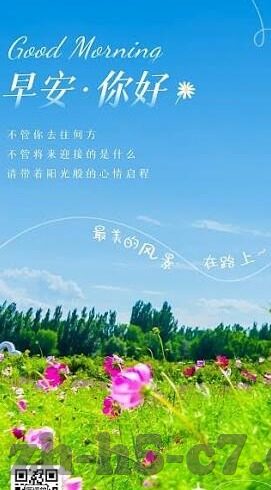 19o足球比分-19O足球比分背后的激情与策略，一场绿茵场上的数据盛宴