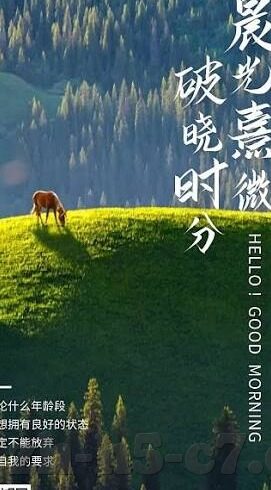 探身足球比分-探身足球比分，一场数字背后的激情与策略盛宴
