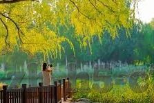 雨燕直播足球比分-雨燕直播，足球比分实时追踪，让热爱永不停歇的绿茵盛宴